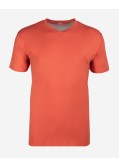 Tee-shirt col V jersey grande taille orange