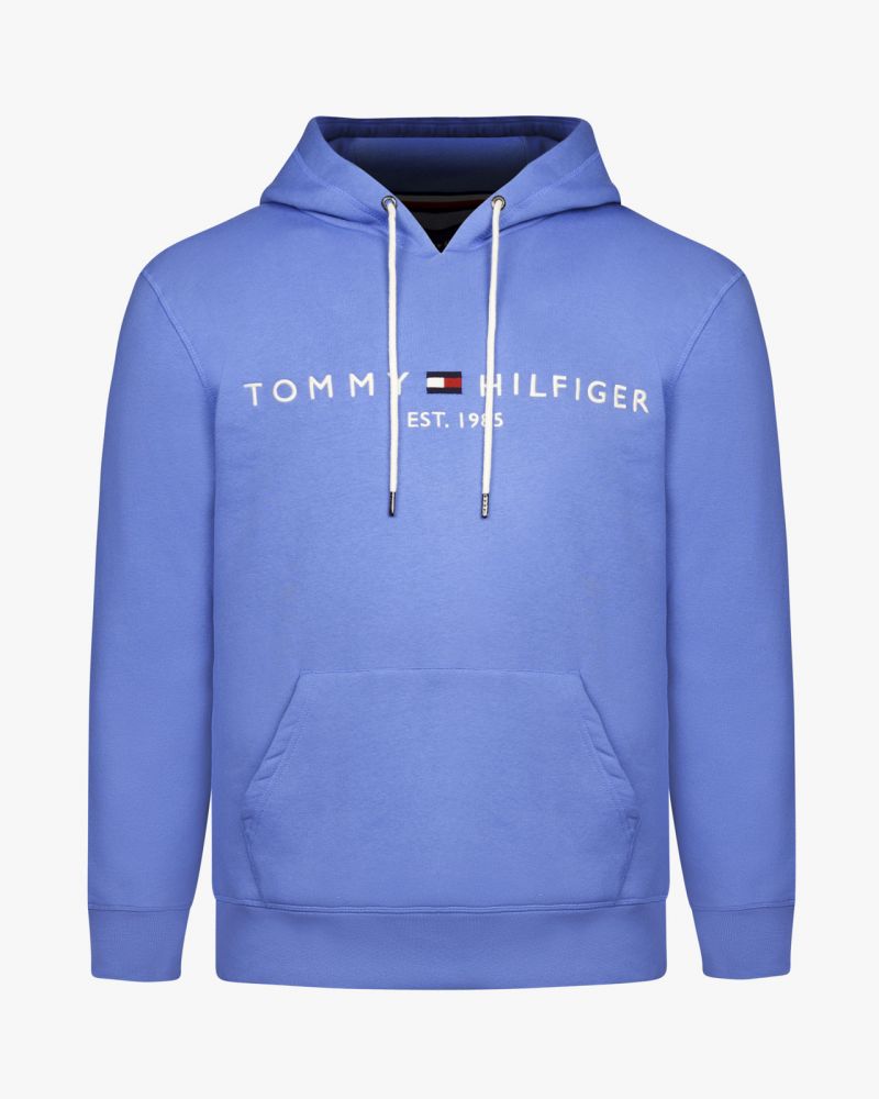 Sweat à capuche logo bleu clair homme - Tommy Hilfiger