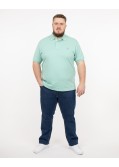 Polo piqué grande taille vert