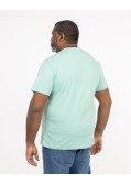 T-shirt grande taille vert