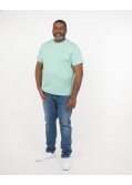 T-shirt grande taille vert