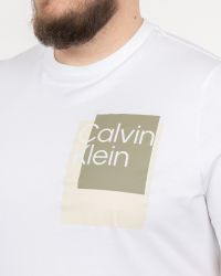 T-shirt grande taille blanc