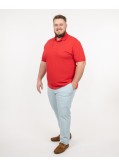 Pantalon chino oxford grande taille bleu