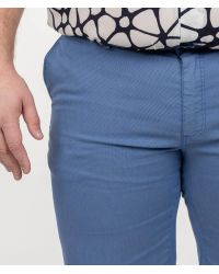 Short chino grande taille bleu ciel