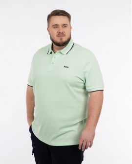Polo Paddy grande taille vert amande