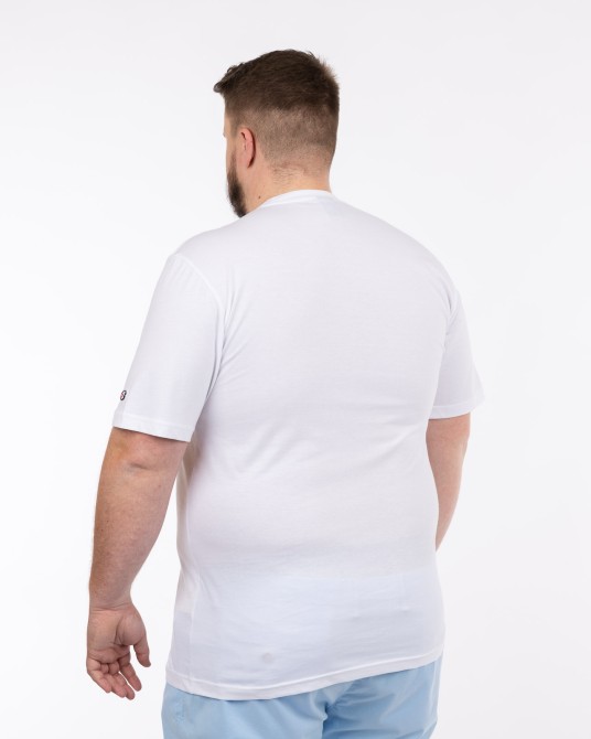 Tee shirt grande taille blanc