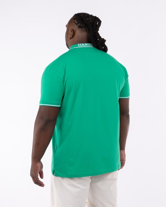 Polo jersey grande taille vert