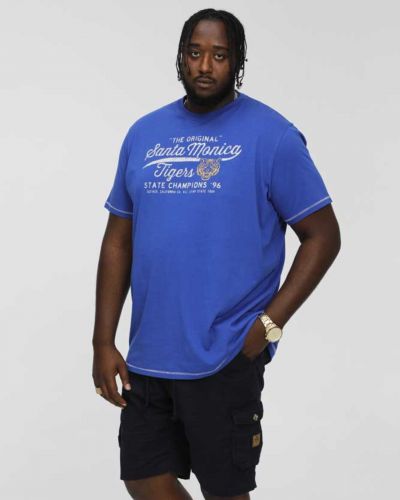 Tee shirt Santa Monica grande taille bleu