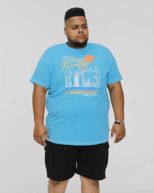 Tee shirt Honolulu grande taille turquoise