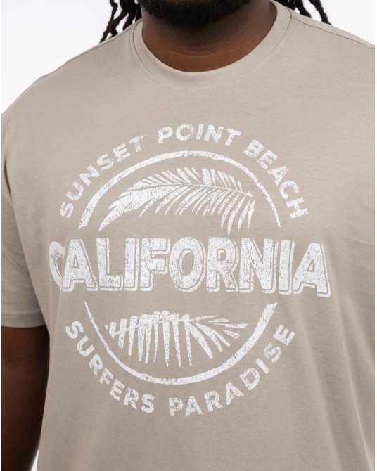 T-shirt col rond California grande taille gris