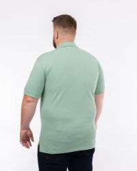 Polo piqué grande taille vert clair