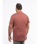 T-shirt grande taille rouge