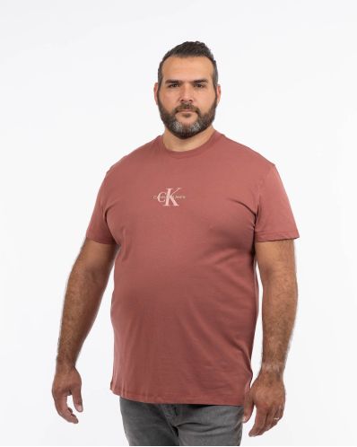 T-shirt grande taille rouge