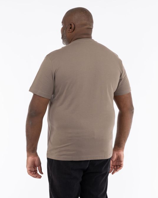 T-shirt grande taille gris