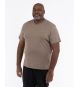 T-shirt grande taille gris