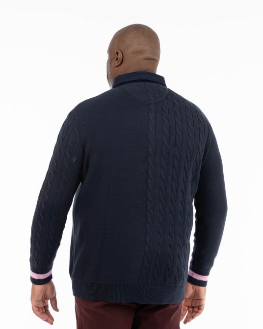 Pull col polo grande taille bleu marine