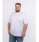 T-shirt grande taille blanc