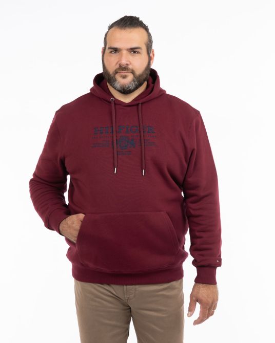 Sweat à capuche grande taille bordeaux