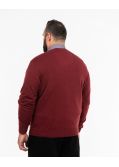 Pull col V en pima coton grande taille bordeaux