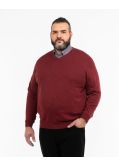 Pull col V en pima coton grande taille bordeaux