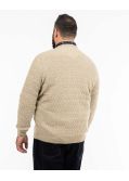 Pull jacquard grande taille beige