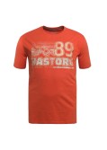 Tee shirt flammé Hastorg imprimé grande taille orange rouille