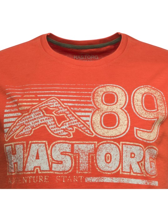 Tee shirt flammé Hastorg imprimé grande taille orange rouille