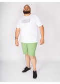 Short chino 1214 grande taille armuré vert